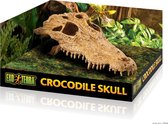 Exo Terra Crocodile Skull - Terrarium Schuiplaats - 22 x 12 x 7 cm