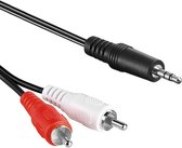 Jack naar tulp kabel 3.5 mm - Universeel - 3,5 mm jack naar 2x RCA Male - Zwart - 1 meter - Allteq