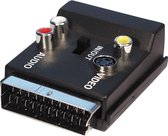 Scart (m) - Scart, Composiet 3RCA en S-VHS (v) adapter / zwart