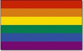 Regenboog vlag 90 x 150 cm  - Gaypride