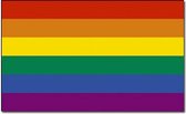 Regenboog vlag 90 x 150 cm  - Gaypride