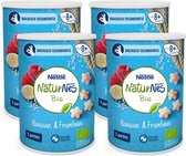 NaturNes Bio Nutripops Banaan Framboos - baby tussendoortje - vanaf 8 maanden - 4 stuks