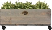 Esschert design Plantenbak vurenhout op wielen 39x59xh24,7cm ( exclusief planten )