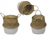 Plantenpot voor binnen  - plantenmand voor binnen - gevlochten mand - seagrass  formaat 20 x 17 cm