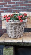 Rieten Mand voor Bloemen en Planten, met plasic binnenin. Kraammand, Aardappelmand, mand voor (kleine) kerstboom