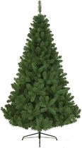 Kerstbomen