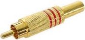 MANNELIJKE RCA PLUG - VERGULD - ROOD (CA048R)