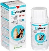 Zylkene capsules 75 mg (30 stuks) - Voor Kat & Kleine Hond