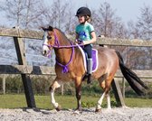 Qhp Touwhalster met teugel Sky - Shet | Halstertouw paard