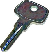 THULE master key - change key - moedersleutel D1252
