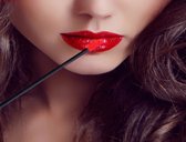 Oogschaduw Borsteltjes - 50 stuks - Zwart - Lipgloss applicators - brush lipstick make-up lip pluisvrij oogschaduw borsteltje