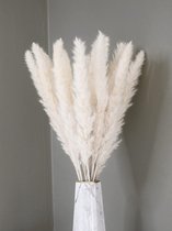 Pampas Pluimen Wit 60cm - Droogbloemen Boeket - Gedroogde Bloemen - 20 Stuks - Incl. Chique verpakking