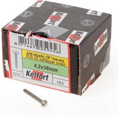 Kelfort Anti-inbraakschroef zelftappend RVS A2 4.2 x 38mm