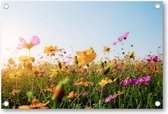 Bloemen in veld met zonsondergang - Tuinposter 90x60 - Wanddecoratie - Natuur - Bloemen