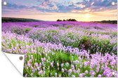 Tuinposter Bloemen - Paars - Lucht - Lavendel - Tuin decoratie - Tuindoek - 120x80 cm - Tuin