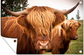 Tuinposter - Tuindoek - Tuinposters buiten - Schotse Hooglanders - Bruin - Gras - 120x80 cm - Tuin