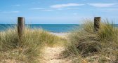 PB-Collection - Tuinschilderij - Duinpalen - 70x130cm - Strand - Duinen - Zee - Beach - Tuin decoratie - Schilderij buiten - Canvas - Tuin poster - Tuinposter