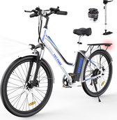 Koopgids: Dit is het beste elektrische transportfiets