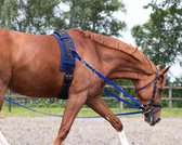 Qhp Bijzetteugels Color Red - Full | Rood | Longeerlijn paard