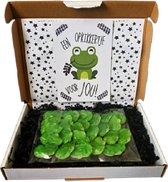 Beterschap - Brievenbus cadeau Opkikker S incl. Gratis wenskaart Opkikker of Beterschap - opkikkertjes - ziek