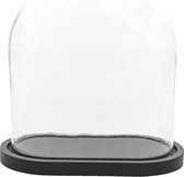 Clayre & Eef Stolp 33x19x35 cm Zwart Hout Glas Ovaal Glazen Stolp