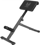 Gyronetics Hyperextensie Bank - Rugtrainer - Belastbaar tot 120 kg - Roman chair