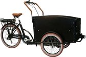 Troy Elektrische Bakfiets - Fiets (elektrisch) - Unisex - Matzwart - 20 Inch