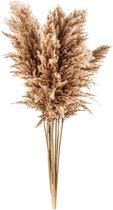 Pampas pluimen | 10 stuks | Pampasgras | Droogbloemen | 100 cm| Boeket decoratie pluimen | Luxury Living | Rietpluimen