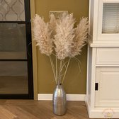 Pampas Pluimen Fluffy - 5 stuks - Pampasgras - 115 cm - Droogbloemen - Hollandse kwaliteit