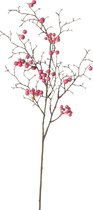 Boltze Home Decotak Acerola Cherry 75cm